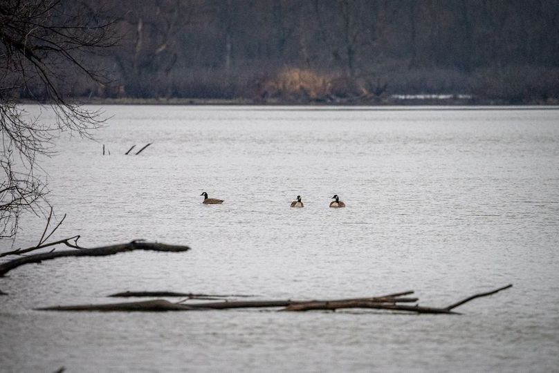 St Clair IL 263.95 Featured_Pro Photo-69