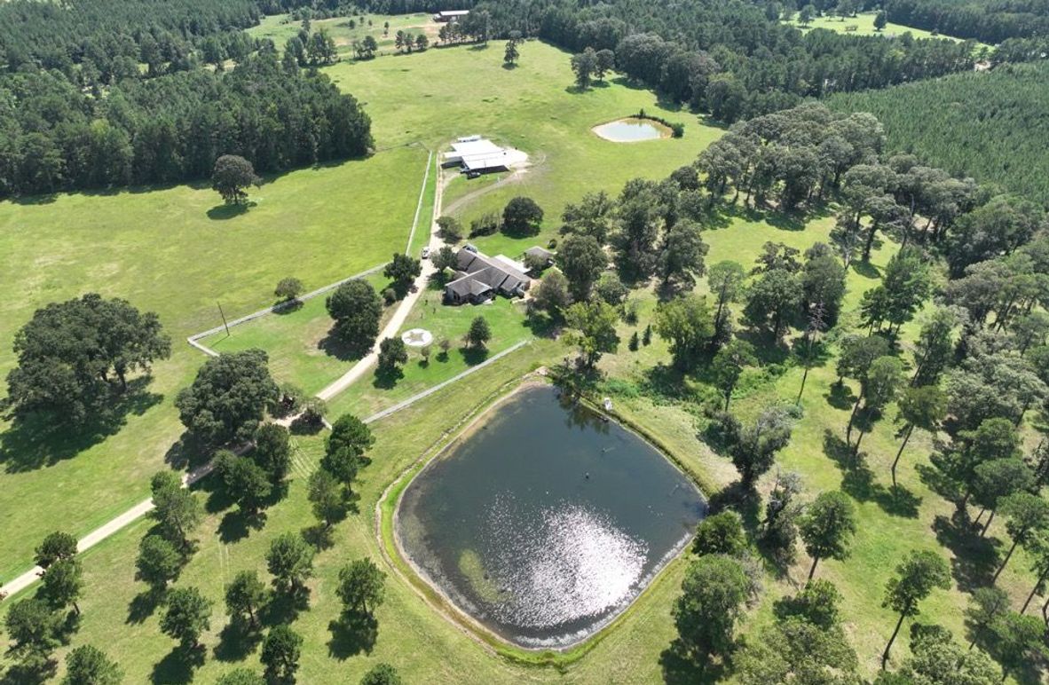 dji_fly_20250828_144930_124_1756499707916_photo