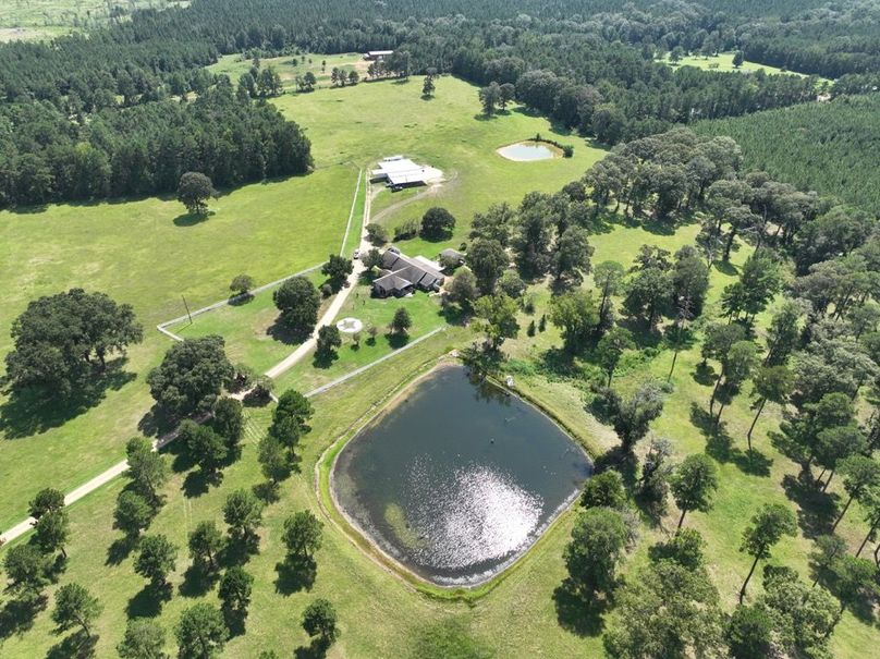 dji_fly_20250828_144930_124_1756499707916_photo