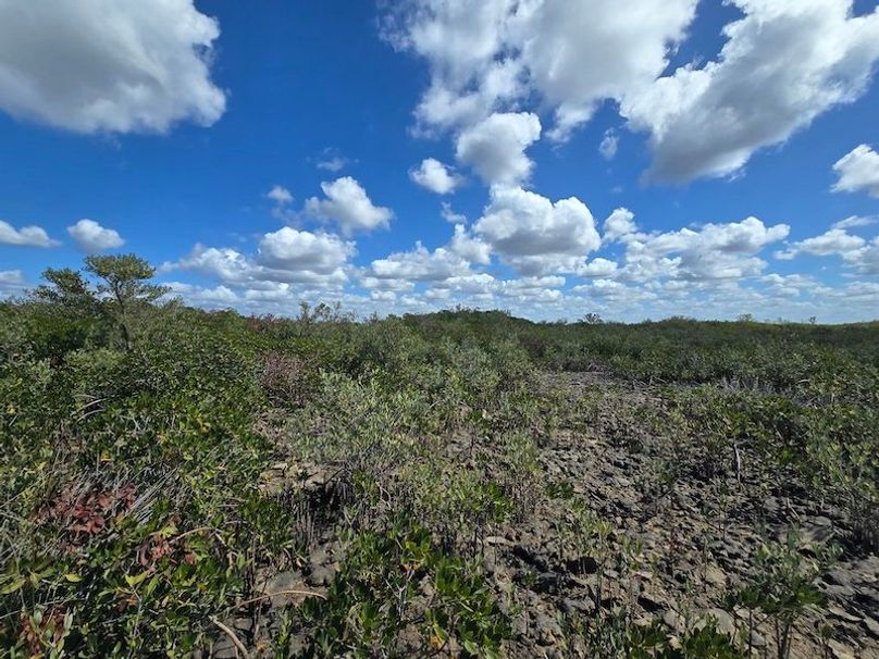 17.17ac, Citrus, Josiah Ronco45