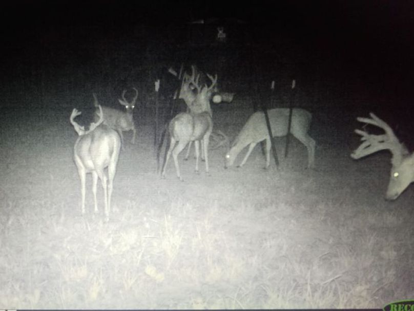 Claiborne Co-314-Fernandez-25