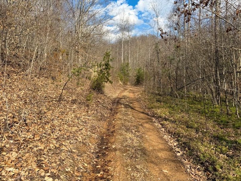 007 more nice trails throughout the tract-2