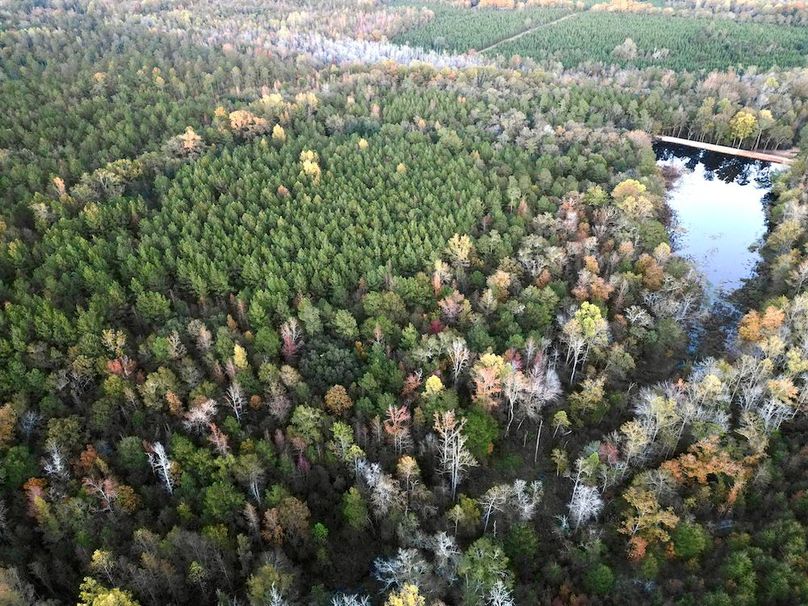 dji_fly_20251103_174140_429_1762260625290_photo