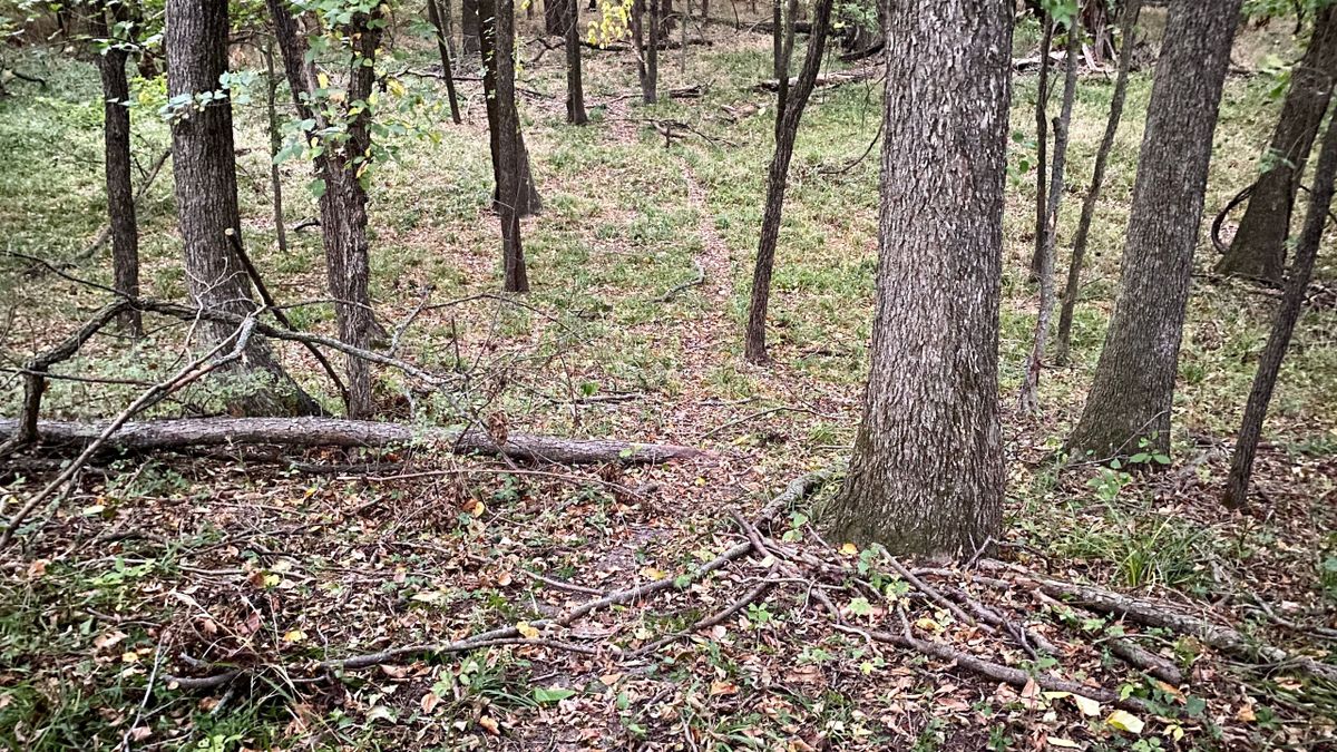 Neosho River Whitetails And Waterfowl Whitetail Properties