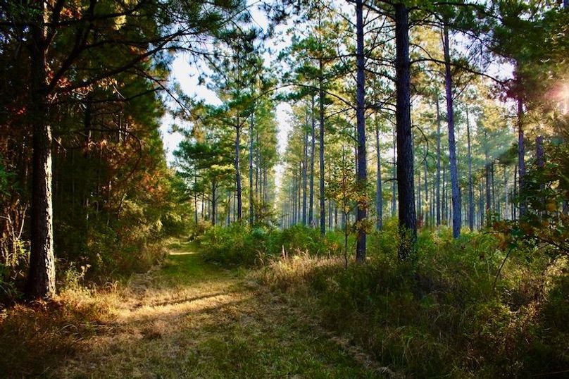 49C1C67B-48CE-43A3-9D22-BF1D5AC3B32B_1_105_c