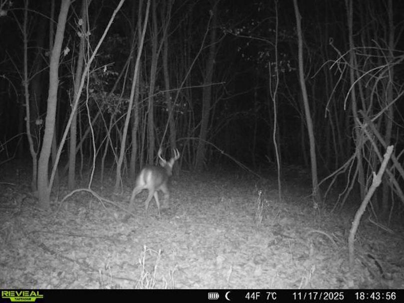 860516067504427-20-2-11172025184356-V-W1002827