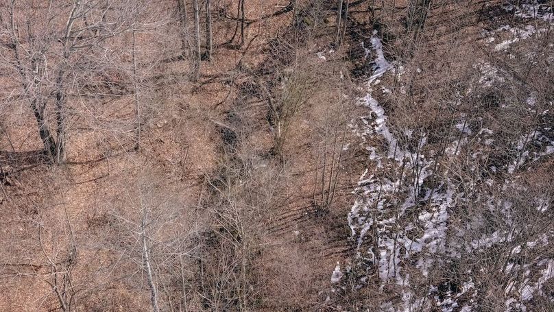 DJI_20260217121053_0108_D