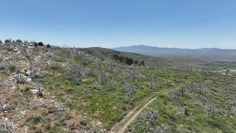 DJI_0421