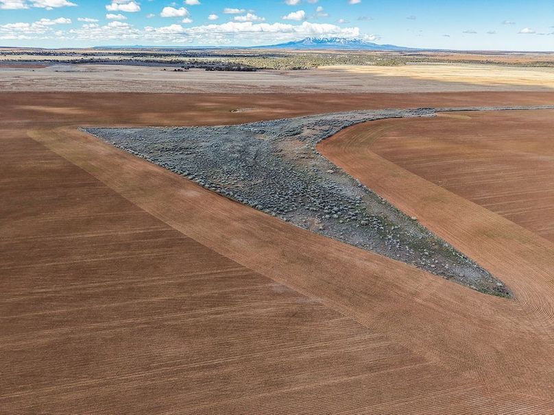 DJI_20260307124734_0080_D