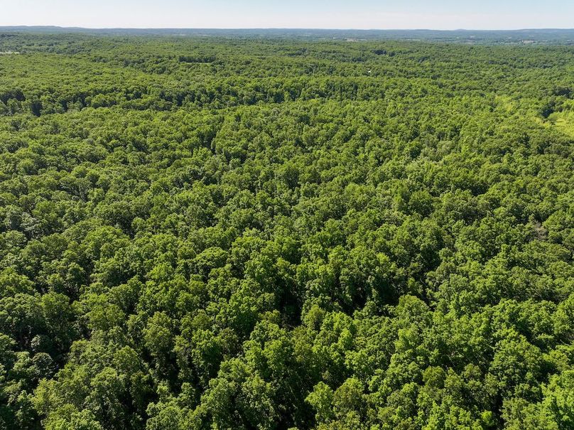 DJI_20250522094752_0361_D