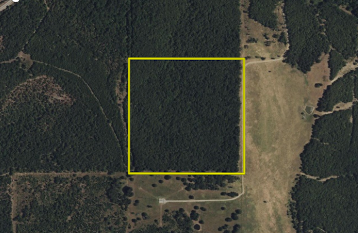 Screenshot 2025-10-31 at 9.31.43 AM