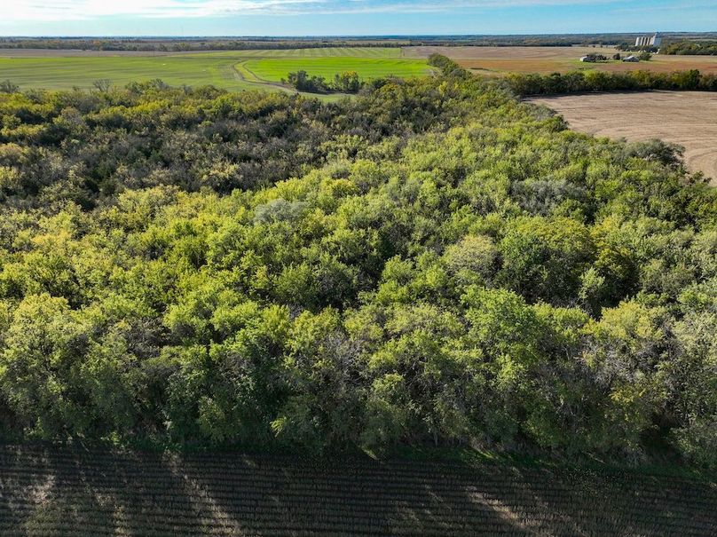 Dickinson Co, 154.5_028