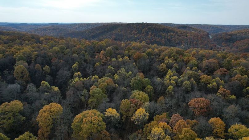 dji_fly_20251105_122256_903_1762380928987_photo