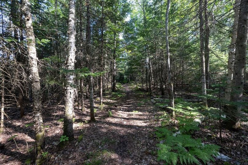 Mackinac 320 Copenhaver-57