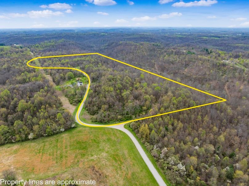 04-z 9870 Wilbur003-Edit