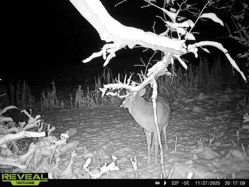 865814043293958-70-4-11272025201708-W1003293