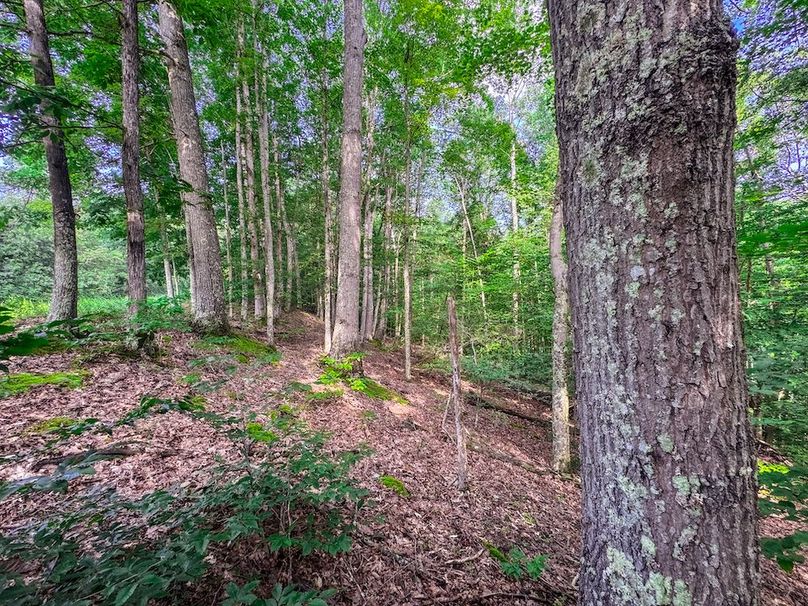 Lewis, WV 105 AC Miller-62