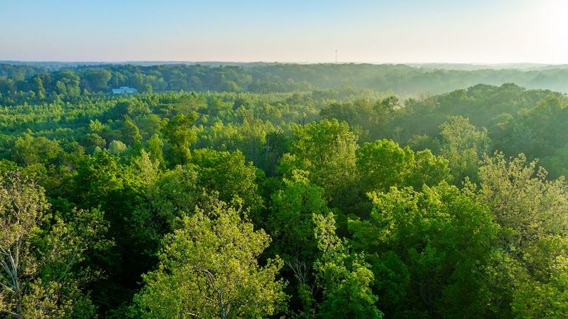 DJI_20250516054907_0006_D