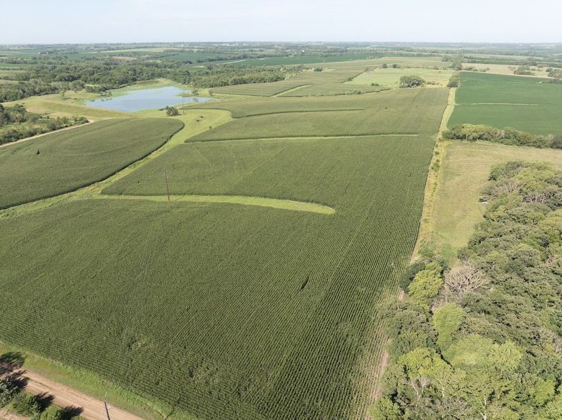 DJI_20250729100501_0045_D