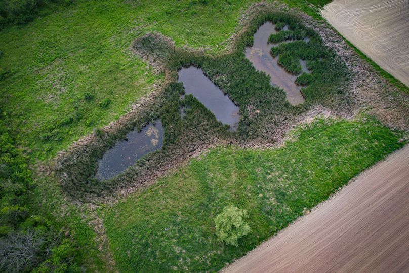 Ontatio_73.3_Green Photo 16