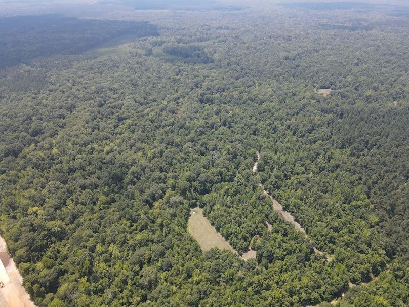 dji_fly_20240615_121202_179_1718471539895_photo