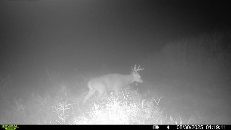 016579006920529-100-4-08302025011911-SYFW00013