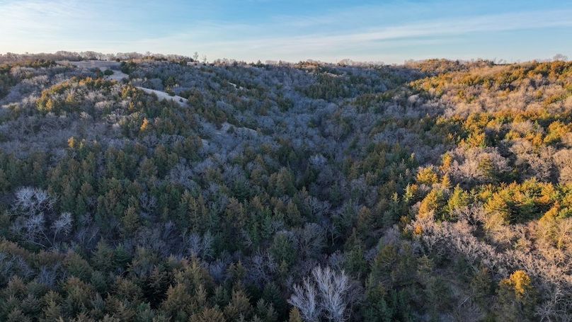 DJI_20260325080439_0145_D