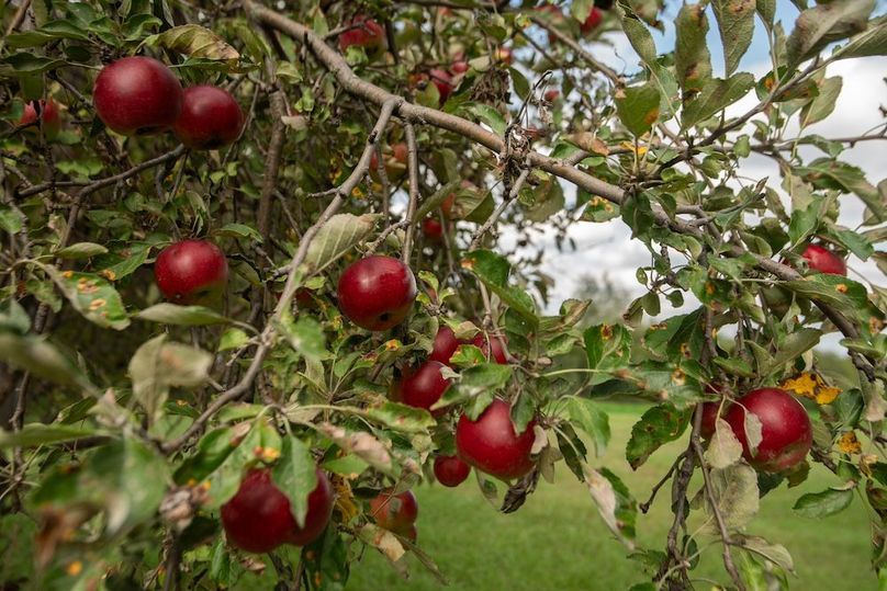 FREMONT CO IA .98+_-_32
