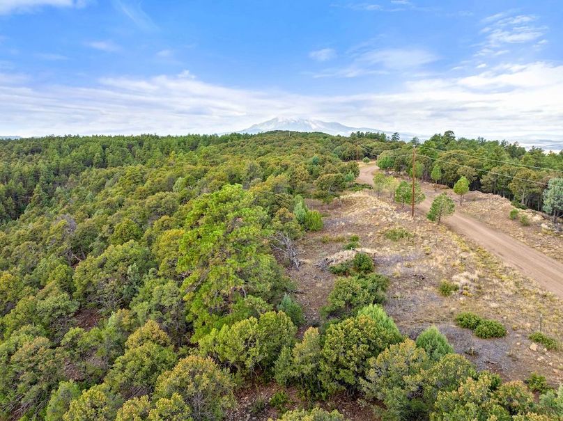 DJI_20250924103955_0091_D