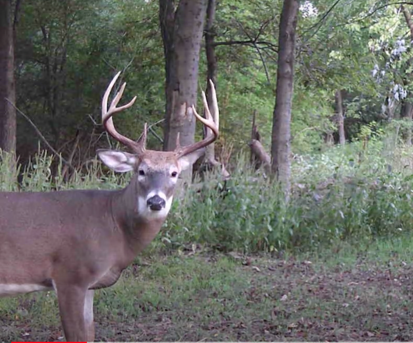 Screen Shot 2024-01-22 at 6.03.09 AM