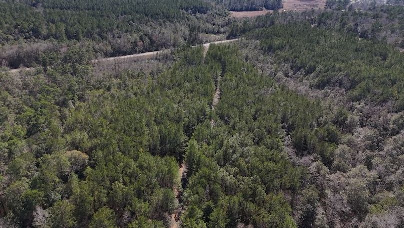 DJI_20240226141625_0010_D