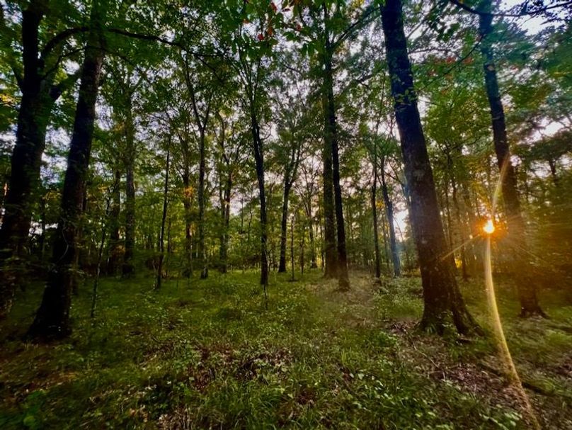 C5C25A2F-D732-4384-BD1A-E53FDD299B62_1_105_c