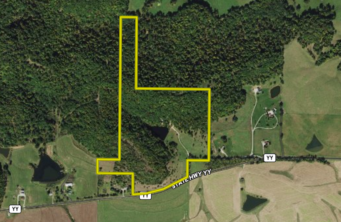 Screen Shot 2025-03-10 at 4.13.32 PM