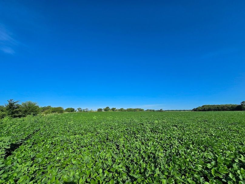 Copy of 20250729_085508