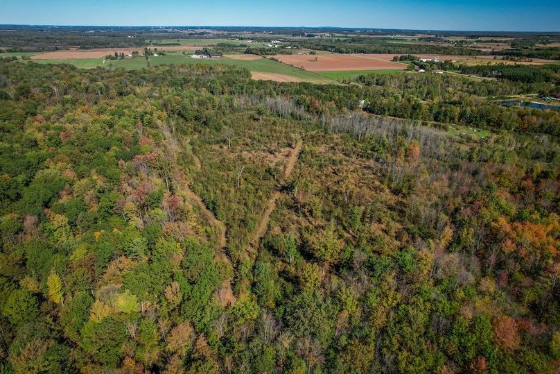 Wood 41.451, Collins -47