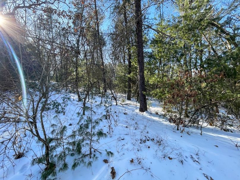 Adams 25, Nessler -61