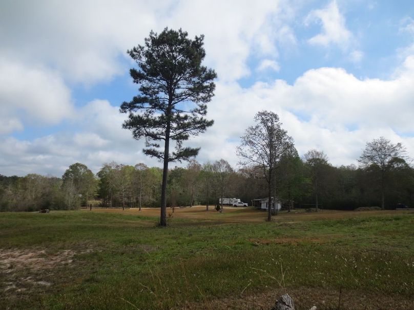 8CA8DE40-4AFB-4D13-A70E-FDB41E891D92_1_105_c