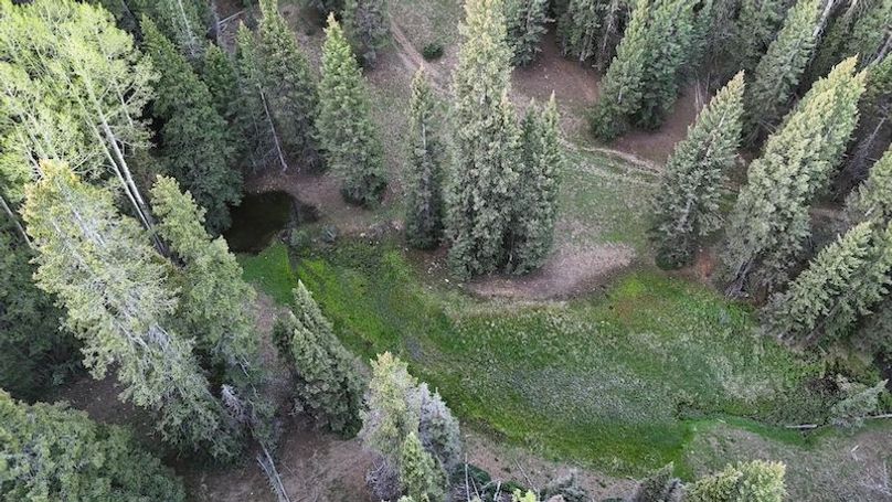 DJI_20250614062634_0122_D