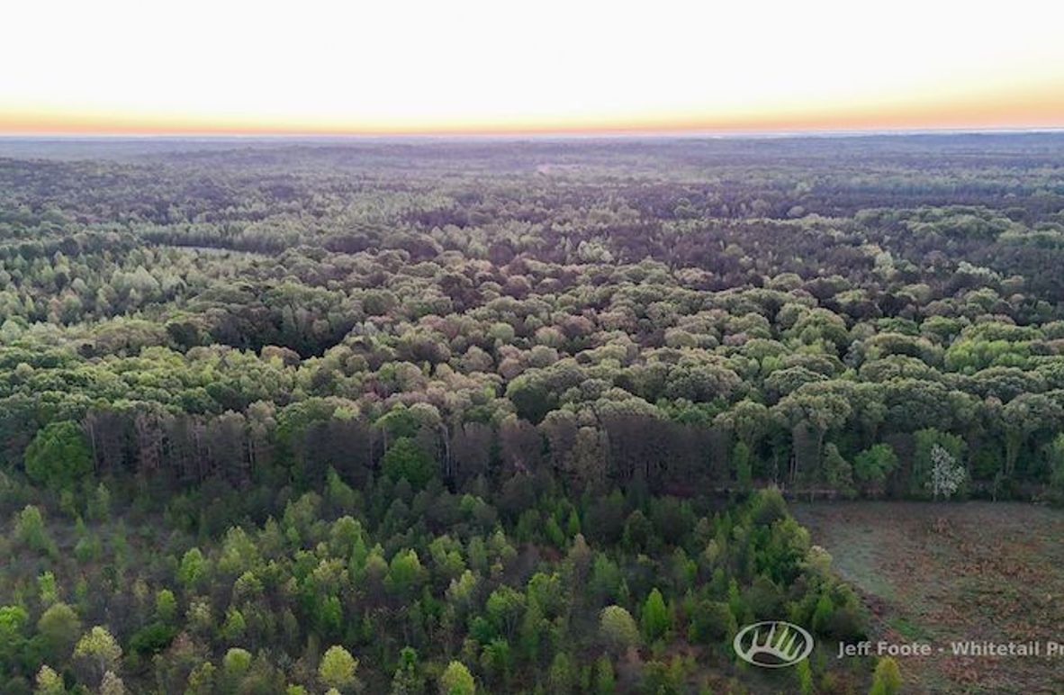 Hinds Co - 51 - Hughes-5