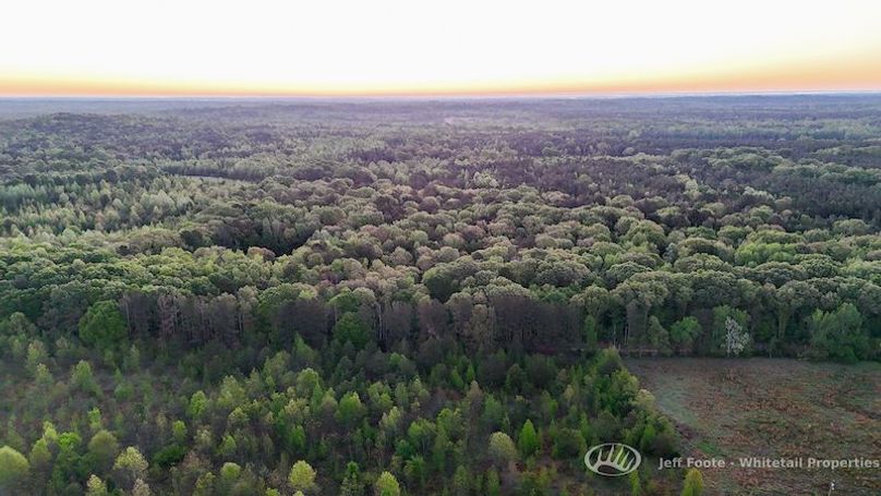 Hinds Co - 51 - Hughes-5