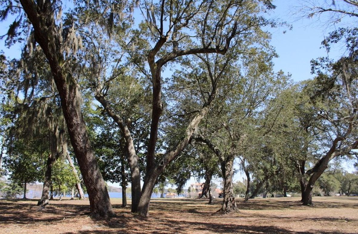 1BF6239B-A3EE-4BB2-87DD-014E0969881C_1_105_c-2