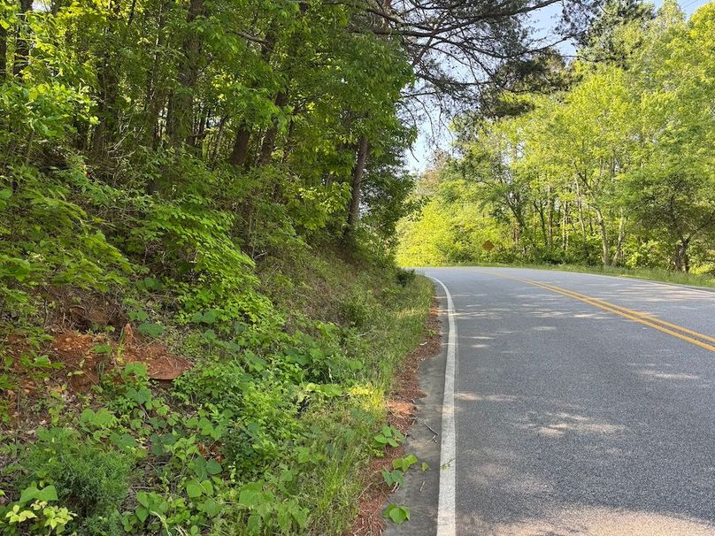 Large Road Front