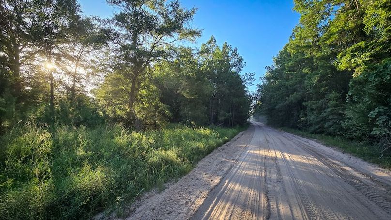 Copy of 20240704_191637