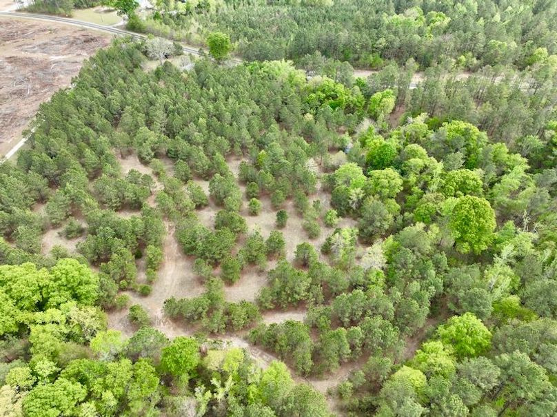 dji_fly_20260330_152126_455_1774898602757_photo