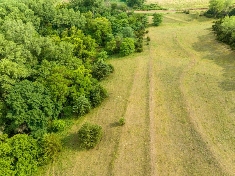 20230616-DJI_0404