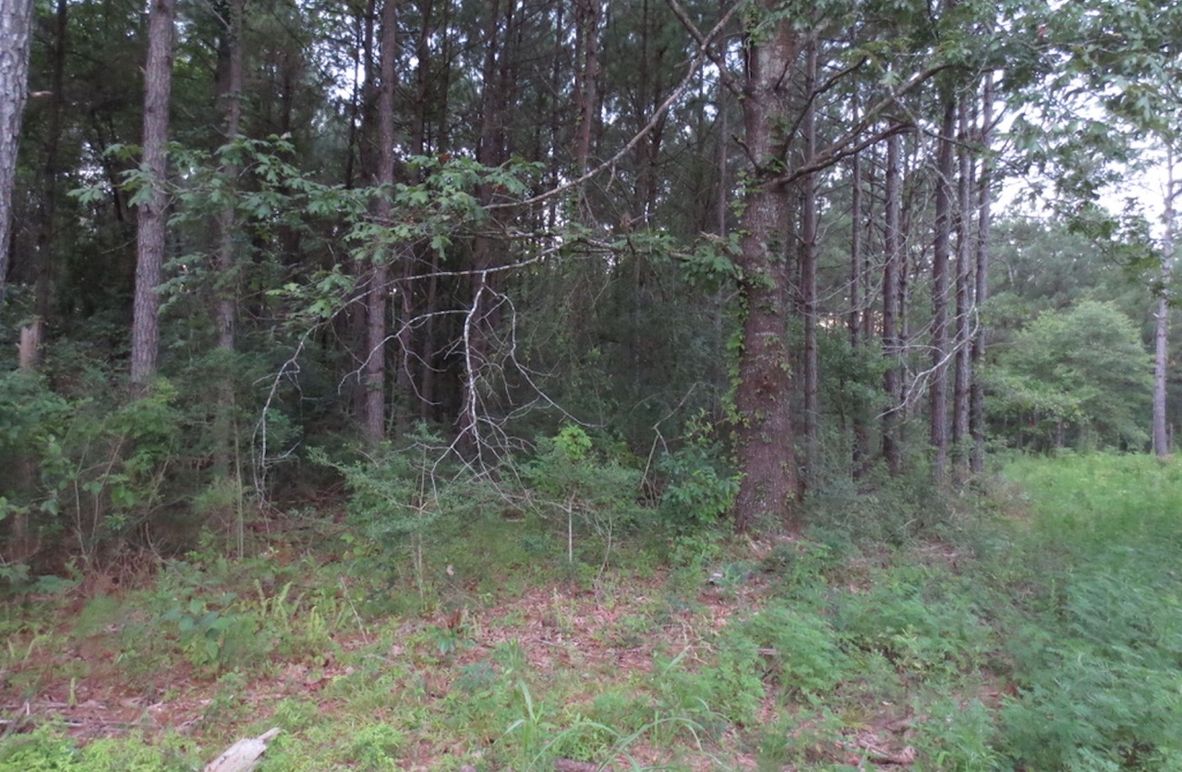 8E1C3104-FB7E-4354-9A78-1280CFFA96BF_1_105_c