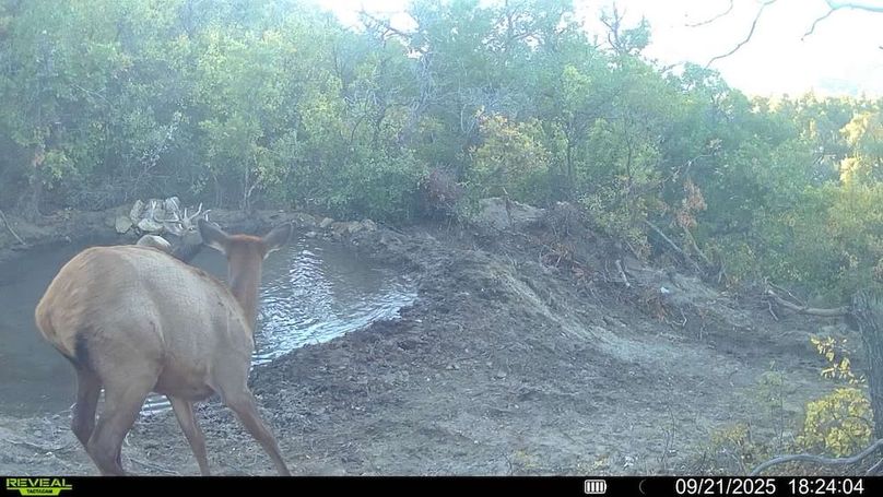 016578004083249-81-2-09212025182404-V-SYFW00323