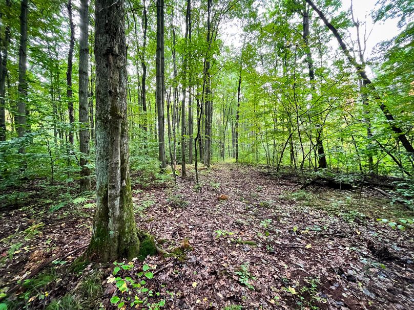 Ontario_16.2_Eddington Photo 20