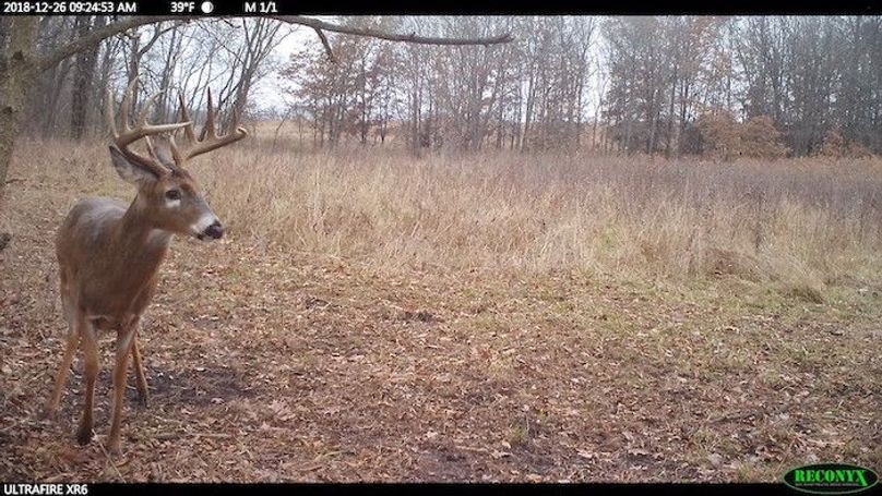 2018-12-26 09-24-53 M 1_1