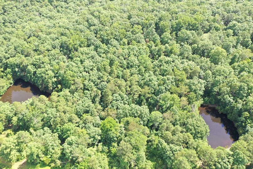 DJI_0018